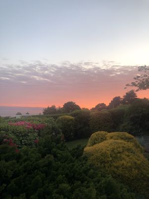 Photo 37- click for photo gallery